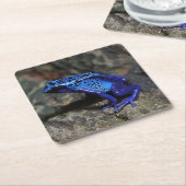 ブルー·ポイズン·ダーツ·フロッグ、ブライト·ブルー·カエル スクエアペーパーコースター (アングル)