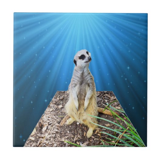 ブルー・メルカット・ナイト タイル (正面)
