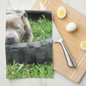 ブルー・ヤング(犬)スタッフォード・ブル・テリア キッチンタオル (四つ折り)