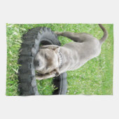 ブルー・ヤング(犬)スタッフォード・ブル・テリア キッチンタオル (横)