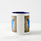 ブルー（昆虫）オオカバマダラ、モナークバタフライダマスクヴィンテージアート ツートーンマグカップ (中央)