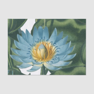 ブルー《植物》スイレンフラワーヴィンテージ 薄葉紙