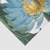 ブルー《植物》スイレンフラワーヴィンテージ 薄葉紙 (詳細)