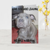 ブルー(犬)スタッフォードブル・テリア・パピー カード (黄色い花)