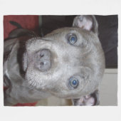 ブルー(犬)スタッフォードブル・テリア・パピー フリースブランケット (正面(横))