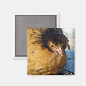 ブルーJr マグネット (正面/裏面)