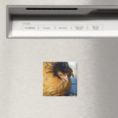 ブルーJr マグネット (インサイチュ (食洗機))