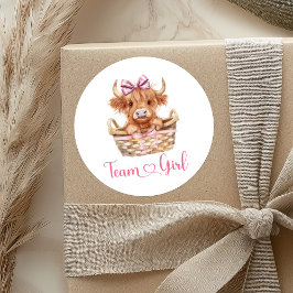 ブル名門私立校風のまたはハイファーチームガールステッカー ラウンドシール