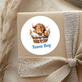 ブル名門私立校風のまたはハイファーチームボーイステッカー ラウンドシール