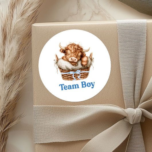 ブル名門私立校風のまたはハイファーチームボーイステッカー ラウンドシール