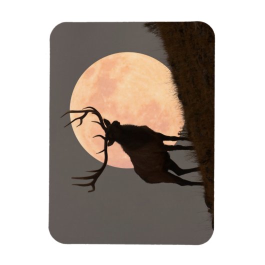ブル威厳のあるエルクと満月の上昇 マグネット (縦)