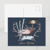 ブル威厳のあるエルク ポストカード (正面/裏面)