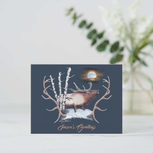 ブル威厳のあるエルク ポストカード (スタンド正面)