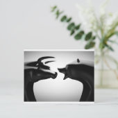 ブル対ベアーブラックとホワイト ポストカード (スタンド正面)