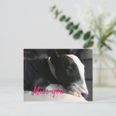 ブル恋しく思・テリアの親愛人 ポストカード (スタンド正面)