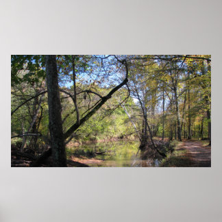 ブル走トレイル ポスター