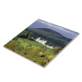 ブレア城、テイサイド、スコットランド。エメラルドで タイル (側面)