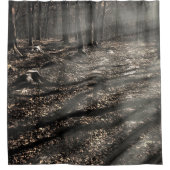 ブレア魔女…あそこだ! シャワーカーテン (正面)