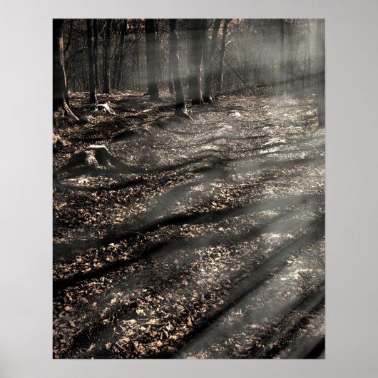 ブレア魔女…あそこだ！ ポスター (正面)