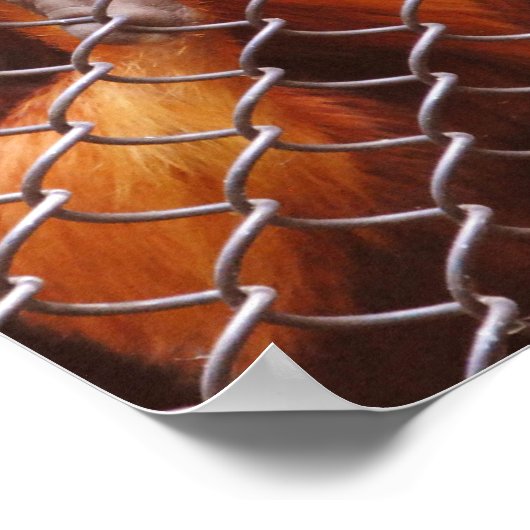 ブレイクアウト ポスター (角)