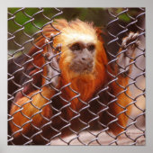 ブレイクアウト ポスター (正面)