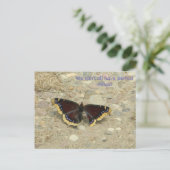 ブレイクウィングポットカード ポストカード (スタンド正面)