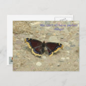 ブレイクウィングポットカード ポストカード (正面/裏面)