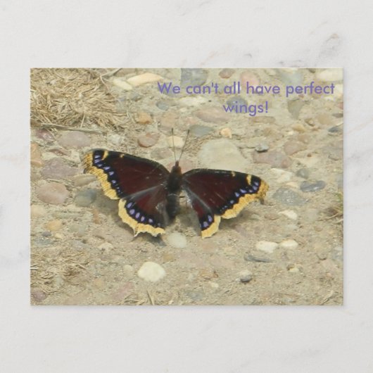 ブレイクウィングポットカード ポストカード (正面)