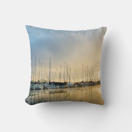 ブレイクスルーII クッション (正面)