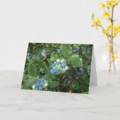 ブレイズブルーベリーズグリーンカントリーインディアナ カード (黄色い花)