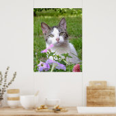 ブレイズ ザ キャット アンド ザ ペチュニア ポスター (キッチン)