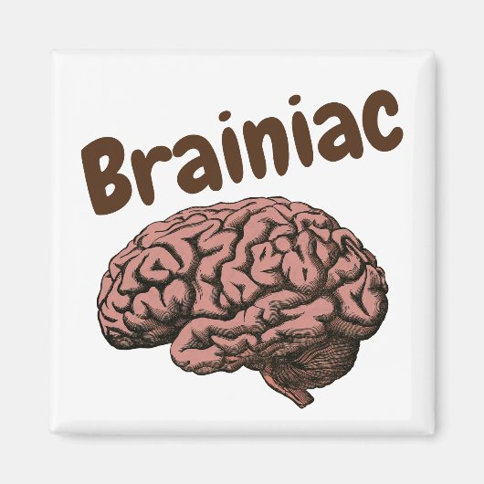 ブレイニアマグネット マグネット (正面)