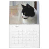 ブレイブサーベビータキシード猫 カレンダー (3月 2027)
