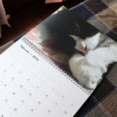 ブレイブサーベビー カレンダー