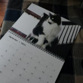 ブレイブサーベビー カレンダー