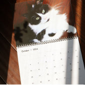 ブレイブサーベビー カレンダー