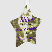 ブレイブスターオーナメント オーナメント (正面)