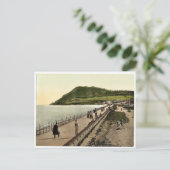 ブレイーII.Co. Wicklow，アイルランドのレアフォトクロム ポストカード (スタンド正面)