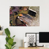 ブレストライプのニー ポスター (ホームオフィス)