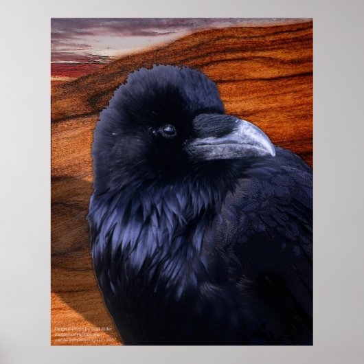 ブレゼン・レイヴン ポスター (正面)