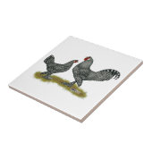 ブレダの鶏のかっこう タイル (側面)