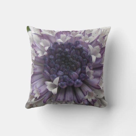 ブレット クッション (裏面)