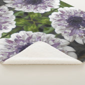 ブレット シェルパブランケット (3/4)