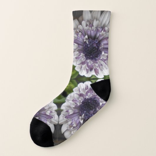 ブレット ソックス (左外側)