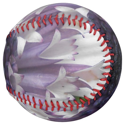 ブレット ソフトボール (正面右)