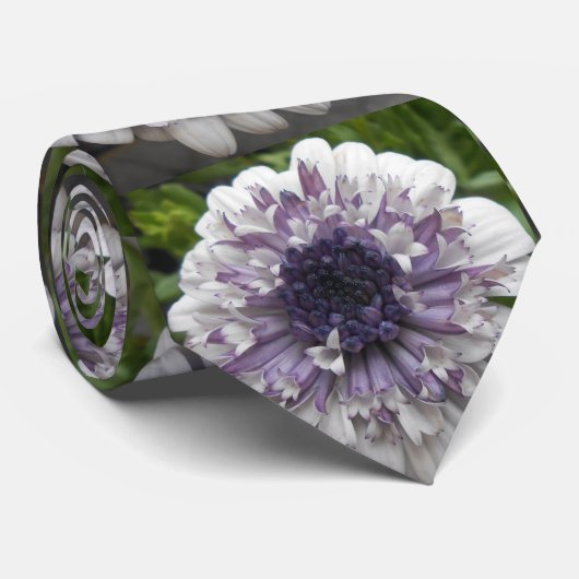 ブレット ネクタイ (ロール)