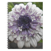 ブレット ノートブック (正面)