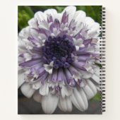 ブレット ノートブック (裏面)