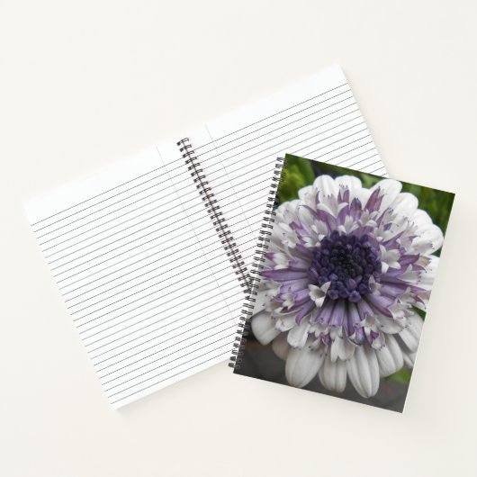 ブレット ノートブック (内部)