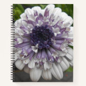 ブレット ノートブック (正面)